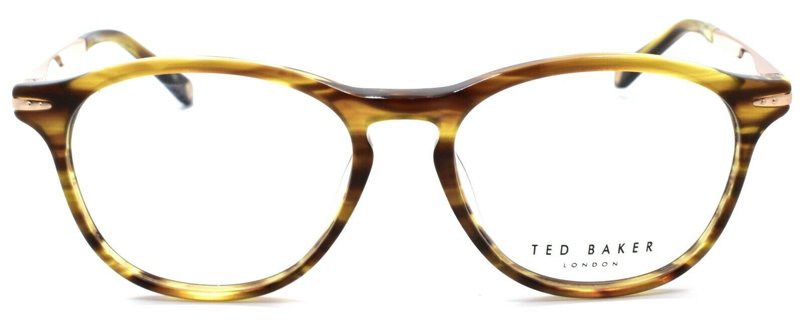 2-Ted Baker Finch 8160 105 Men's Eyeglasses Frames 50-16-140 Amber Horn-4894327181117-IKSpecs