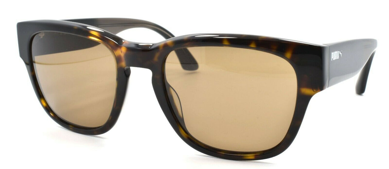 1-PUMA PU0039S 003 Bo-Kaap Unisex Sunglasses Havana / Brown 50-20-140-889652014586-IKSpecs